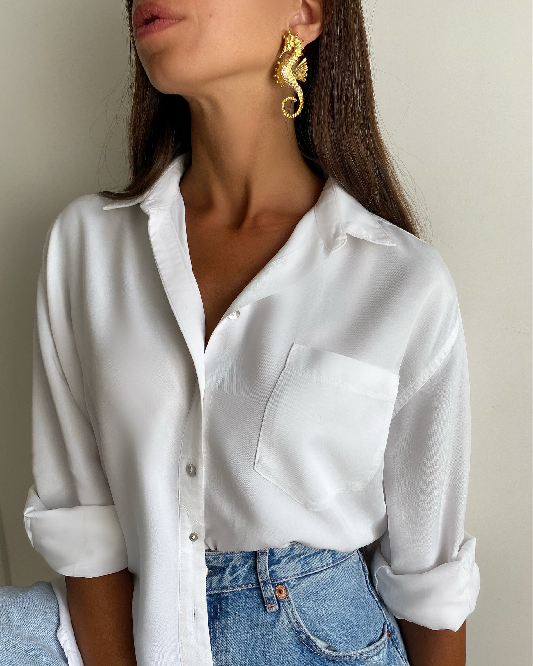 Seahorse Earrings