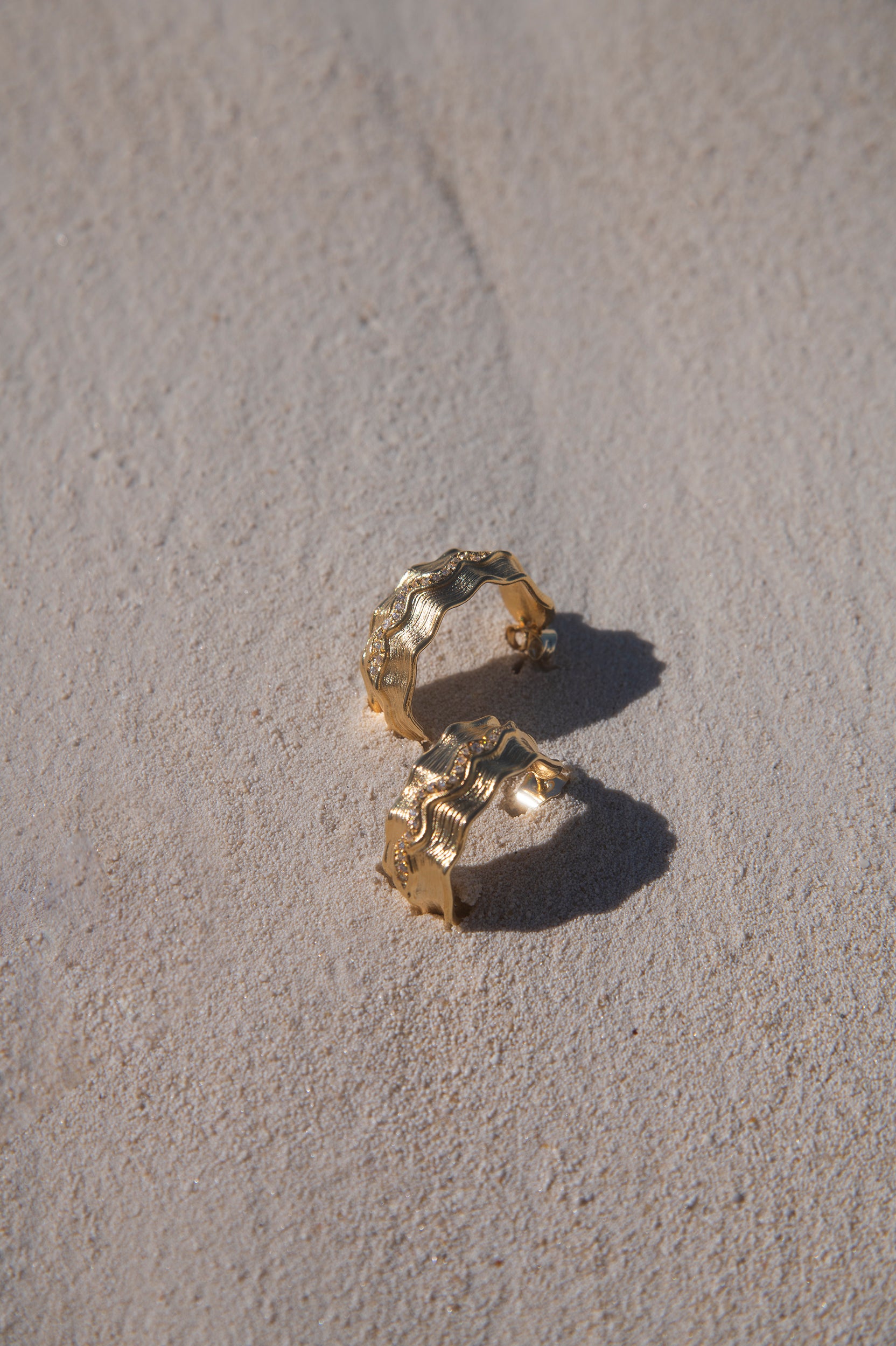Shell hoop earrings